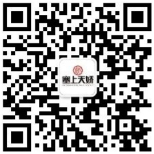 塞上天嬌公眾號二維碼