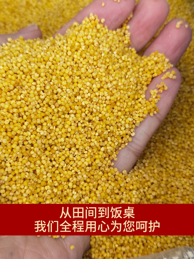 天嬌陜北婆姨雜糧禮盒