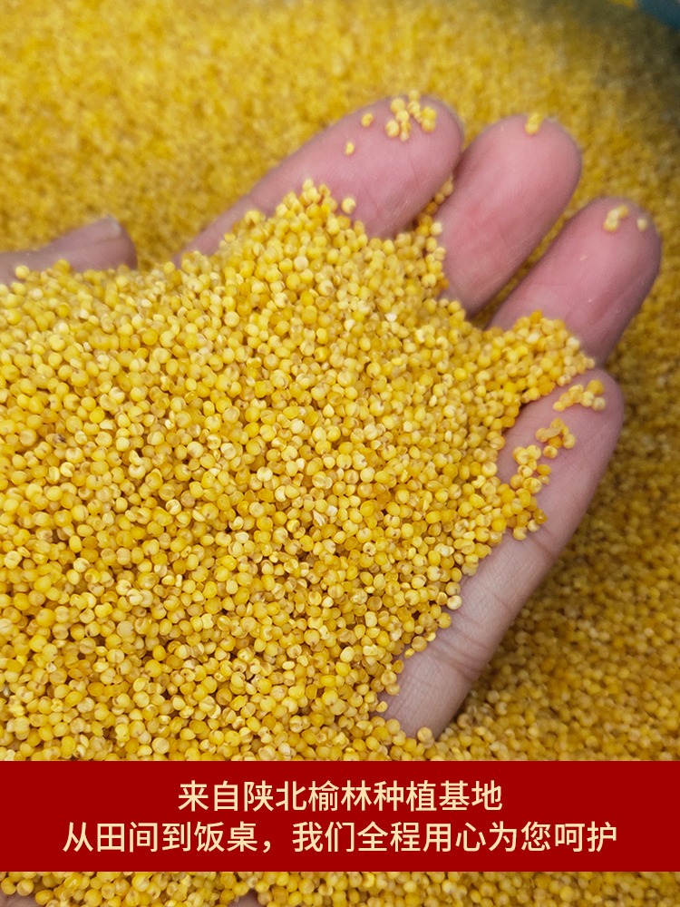 陜北婆姨小香米禮盒