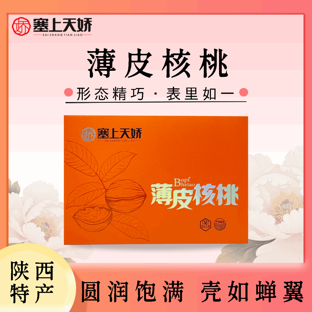 塞上天嬌薄皮核桃禮盒