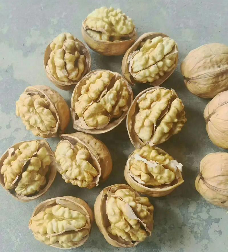陜西核桃 陜西核桃